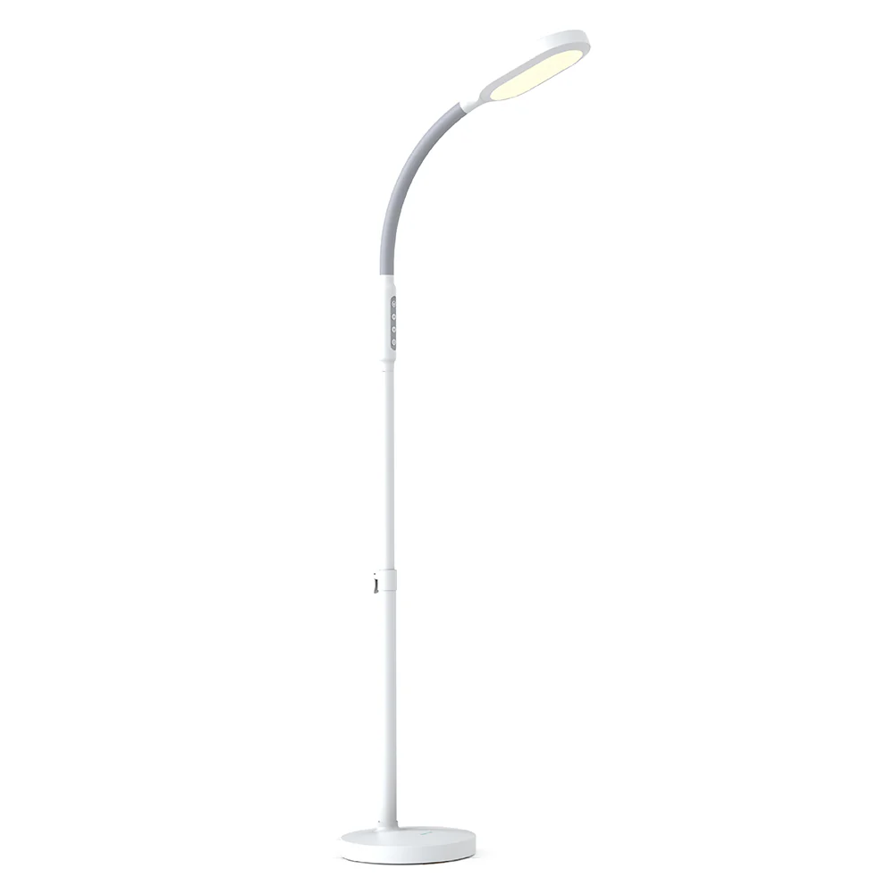 Top Picks - Desk & Floor Lamps